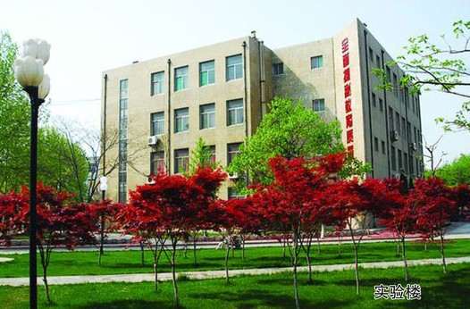 淄博市工業學校開設哪些計算機課程？