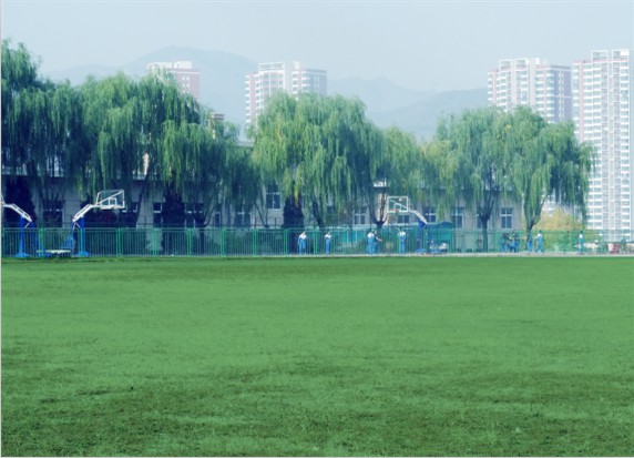 青島滿天星職業培訓學校怎么樣？